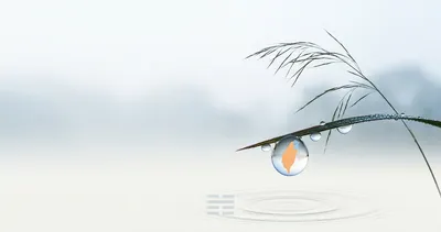 白露水氣起——全台只有 11.8% 的「水」卦，都藏在哪裡？